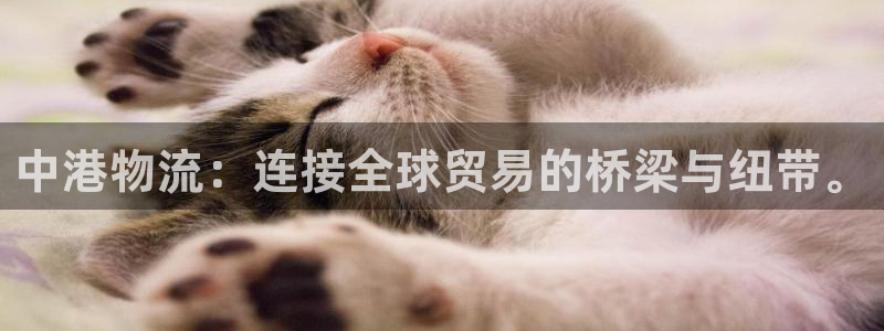 usdt钱包交易928.下载官网.中