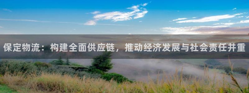usdt区块浏览器：保定物流：构建全