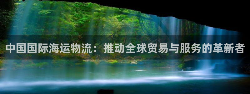 Usdt钱包用哪个