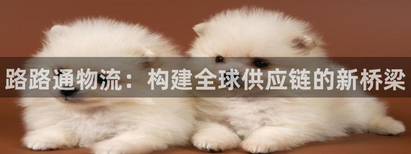 USDT钱包app下载