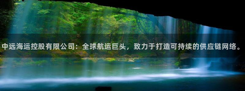 usdt扫码支付：中远海运控股有限公