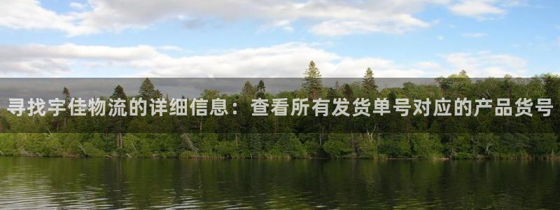 usdt交易套路