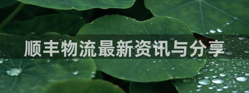 usdt钱包流水查询：顺丰物流最新资