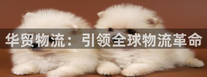 usdt钱包app：华贸物流：引领全