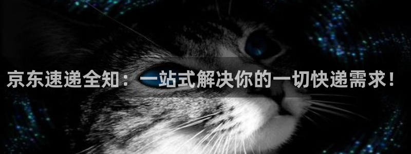 usdt交易官网