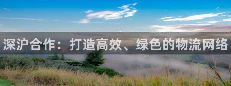 usdt怎么充值到交易所：深沪合作：