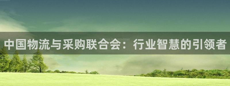 usdt互转地址能查到吗：中国物流与