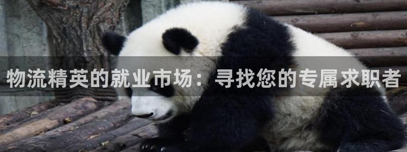 我的usdt币为什么会被冻结