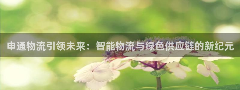 usdt地址申请