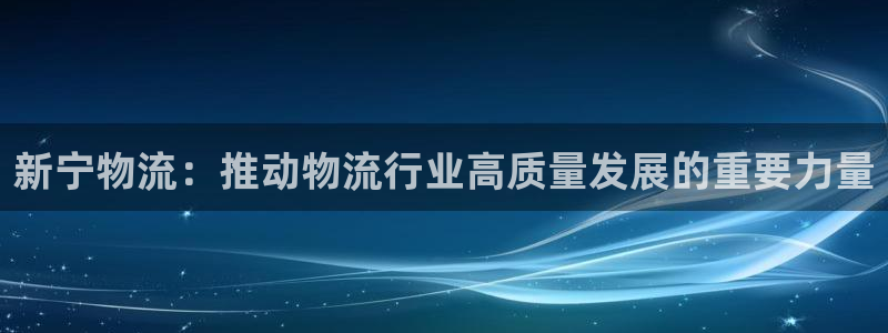 usdt钱包怎么充值：新宁物流：推动