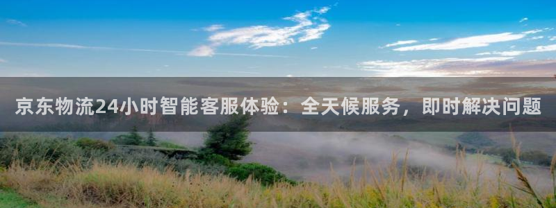usdt币app下载：京东物流24小