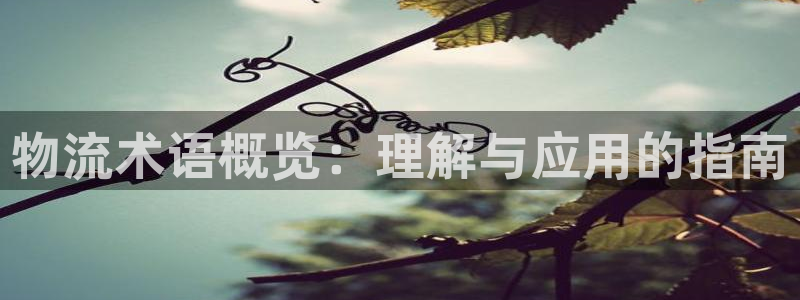 usdt钱包里的钱怎么提现到银行卡