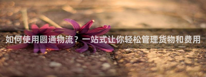 usdt个人钱包：如何使用圆通物流？