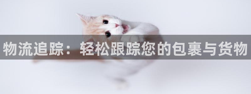 usdt 钱包里的钱怎么提现到银行卡?