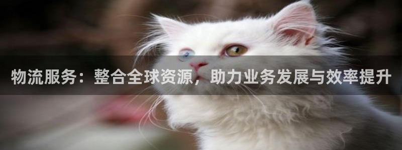 usdt账户被冻结半年去警察局：物流