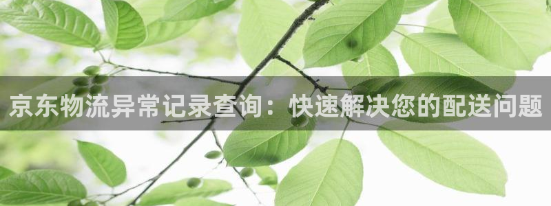 usdt注册地址：京东物流异常记录查