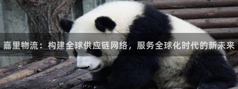 usdt值得买吗