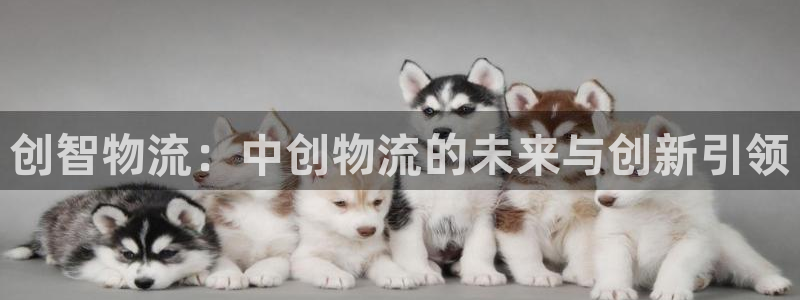 一个usdt：创智物流：中创物流的未