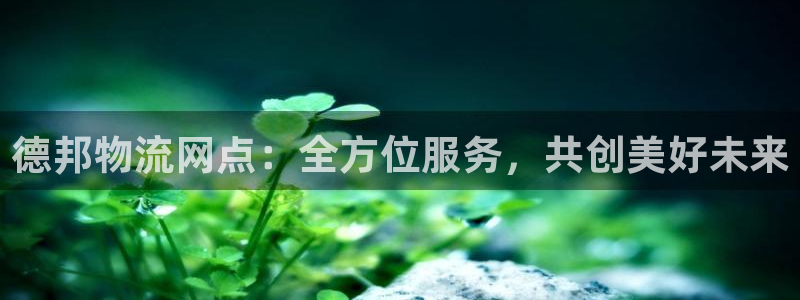 usdt在哪里注册账户：德邦物流网点