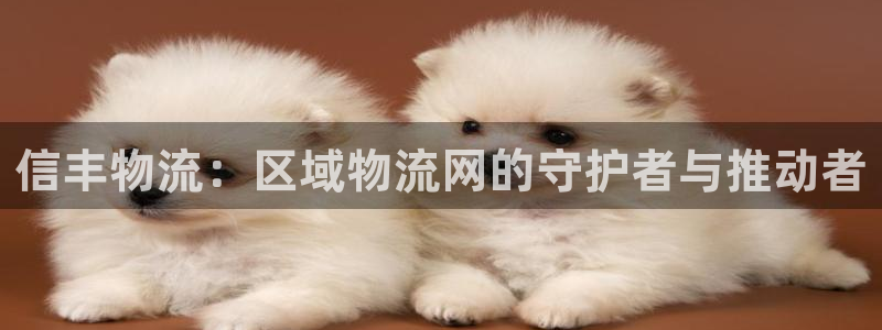 usdt货币交易在中国违法吗