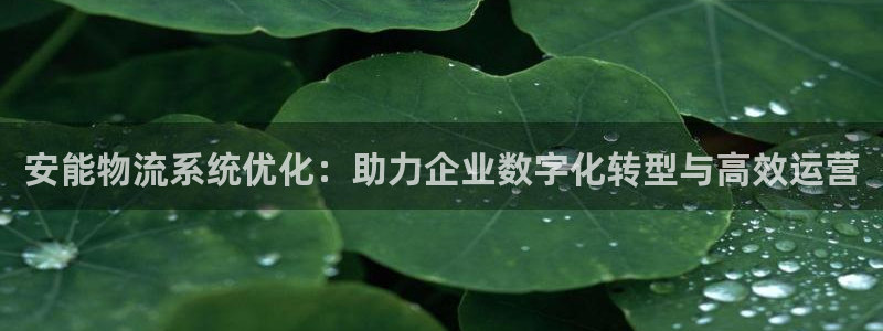 冻结的usdt怎么交易：安能物流系统