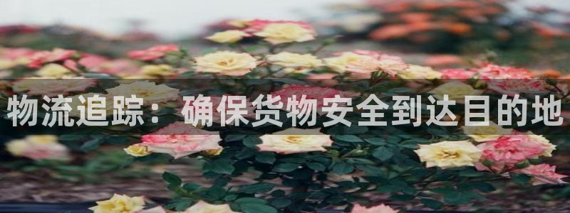 usdt怎么提现到支付宝