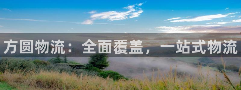 usdt可以提币吗：方圆物流：全面覆