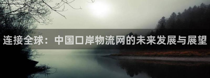 诈骗usdt犯法吗：连接全球：中国口