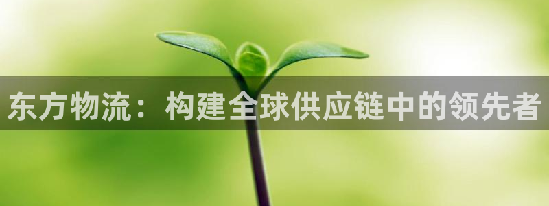 usdt如何充币：东方物流：构建全球