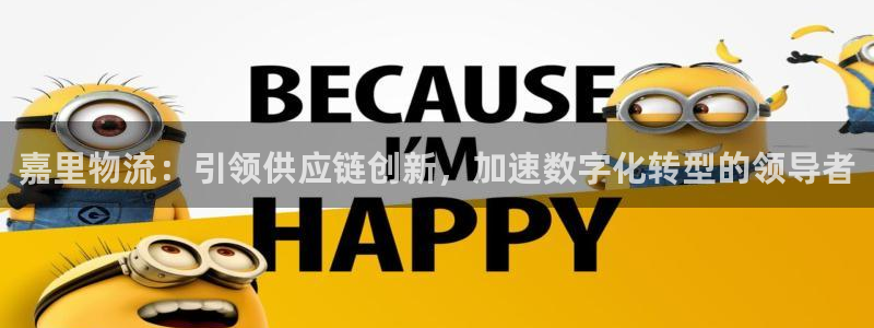 如何创建usdt钱包：嘉里物流：引领