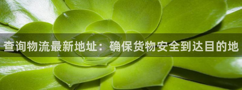 注册usdt需要什么：查询物流最新地