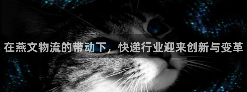 usdt钱包地址生成polygon：
