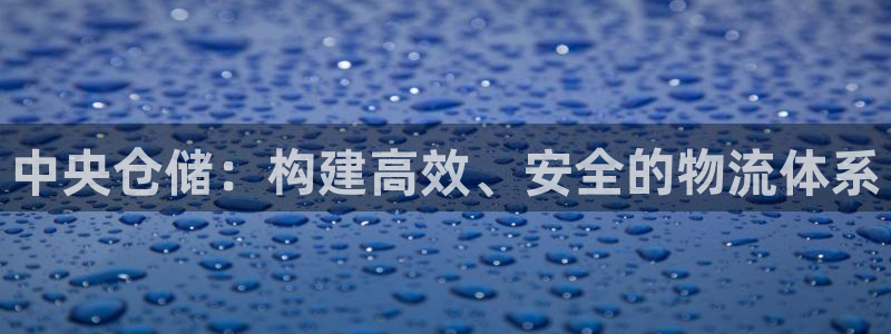 usdt钱包下载安装：中央仓储：构建