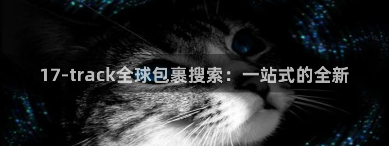 usdt支付下载