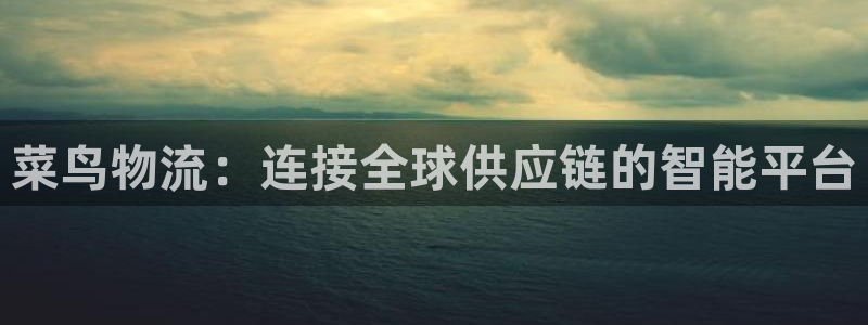 usdt可追踪吗：菜鸟物流：连接全球