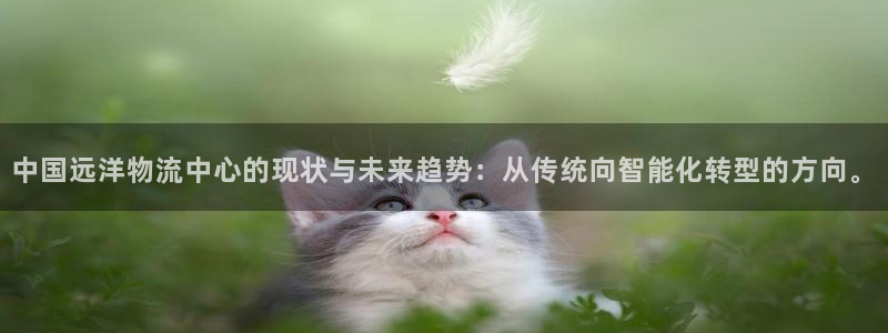 usdt交易套路：中国远洋物流中心的