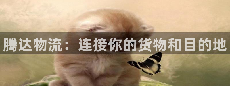 usdt钱包浏览器：腾达物流：连接你