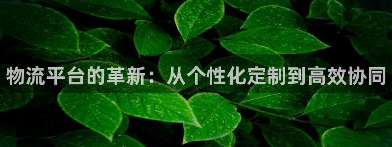 冷钱包冻结usdt：物流平台的革新：