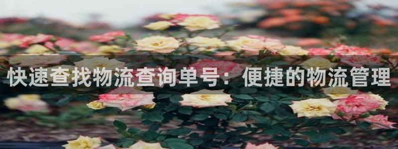 usdttrc20钱包怎么注册：快速