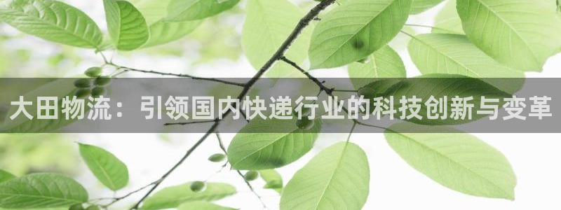 usdt到账查询