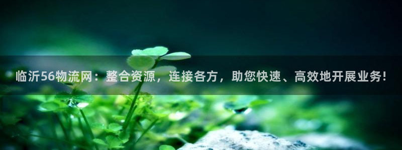 usdt出售