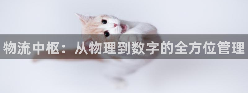 怎么开usdt帐号