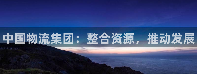 usdt钱包地址给别人：中国物流集团
