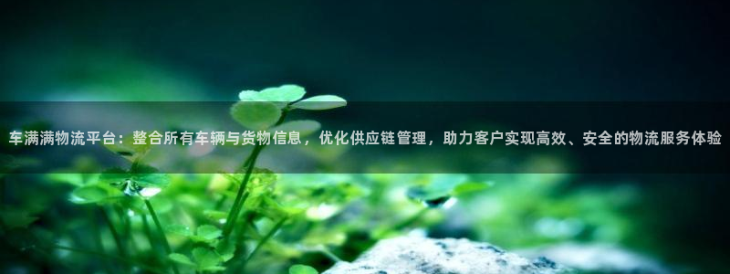 usdt出售：车满满物流平台：整合所