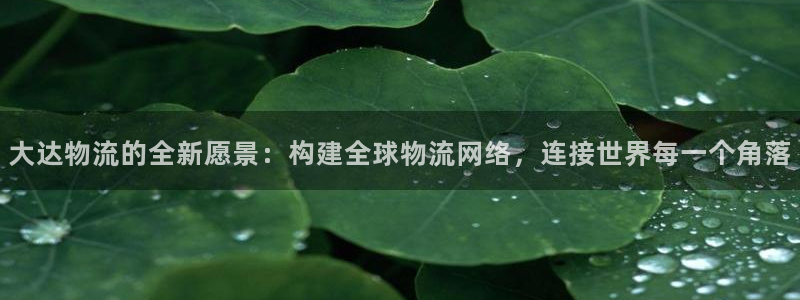 usdt交易hk.官网下载.中国