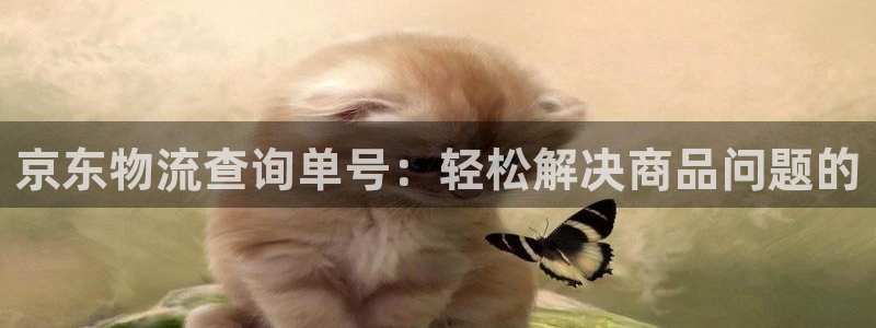 usdt货币钱包