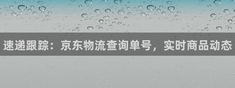 USDT下载教程：速递跟踪：京东物流