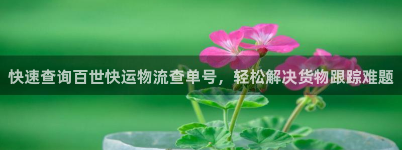 usdt可以追踪的到么：快速查询百世