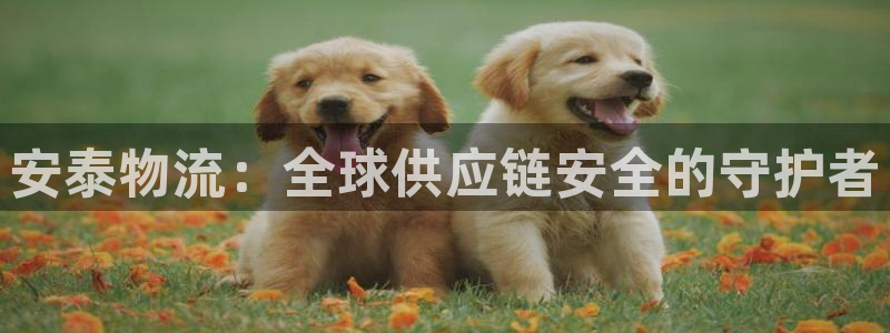 usdt钱包交易928.下载官网.中