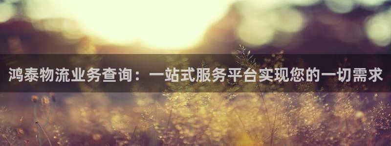 usdt官网交易所：鸿泰物流业务查询